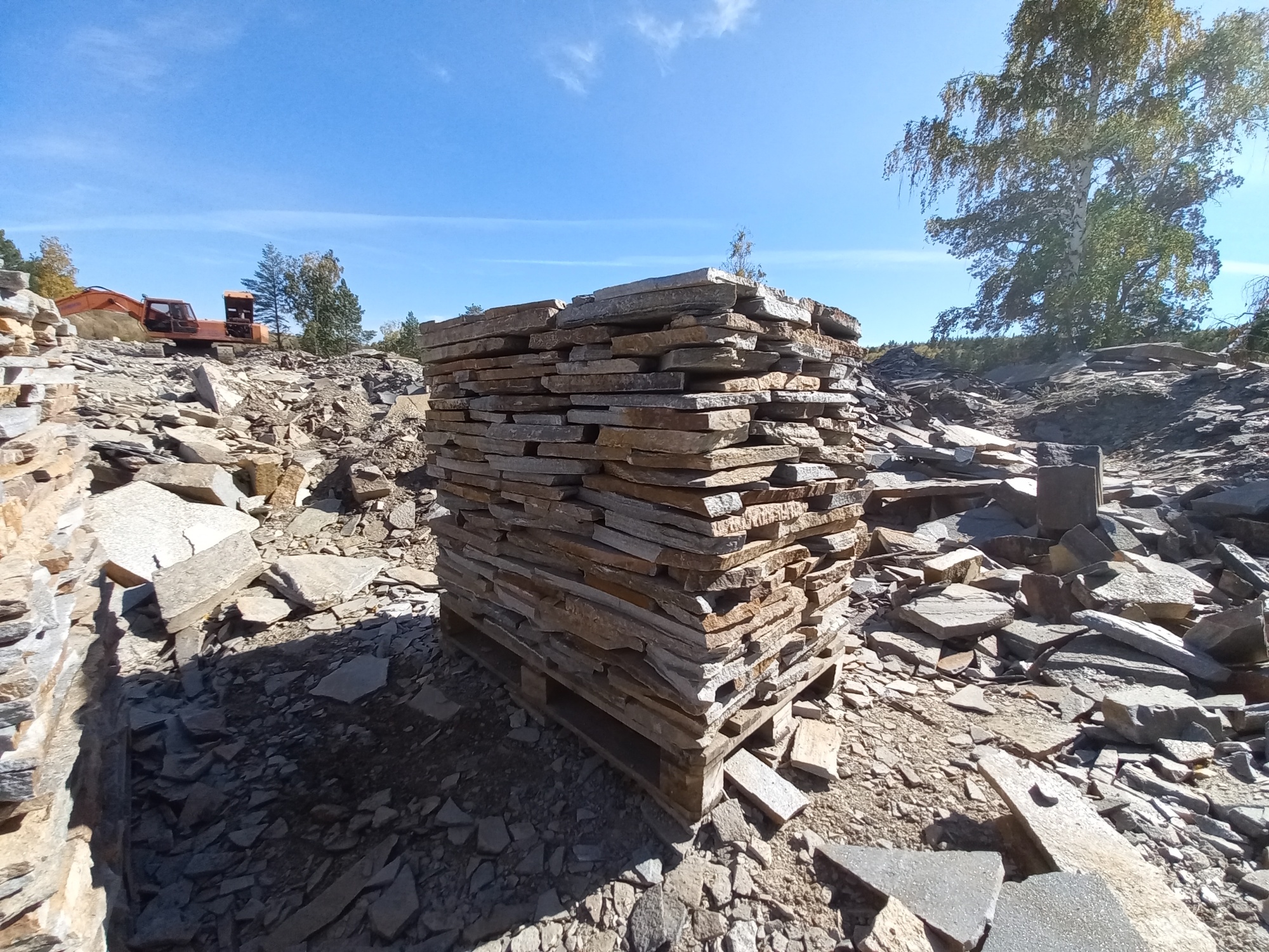 Плитняк златолит серебристый для мощения на бетон купить в Электрогорске